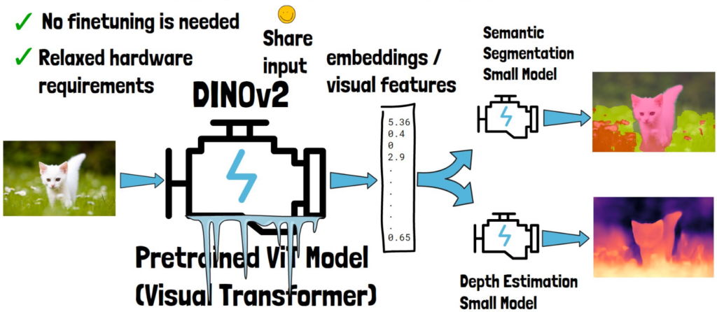 DINOv2 can be frozen when training downstream tasks models