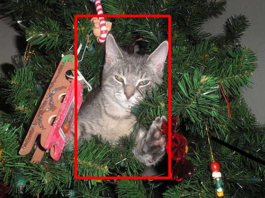 Detecting a cat using object discovery example