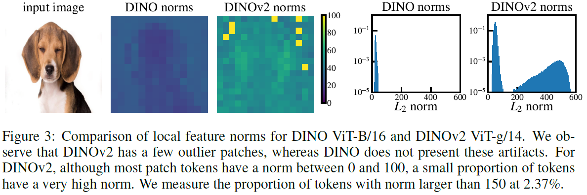 DINOv2 have outlier features with high-norm values