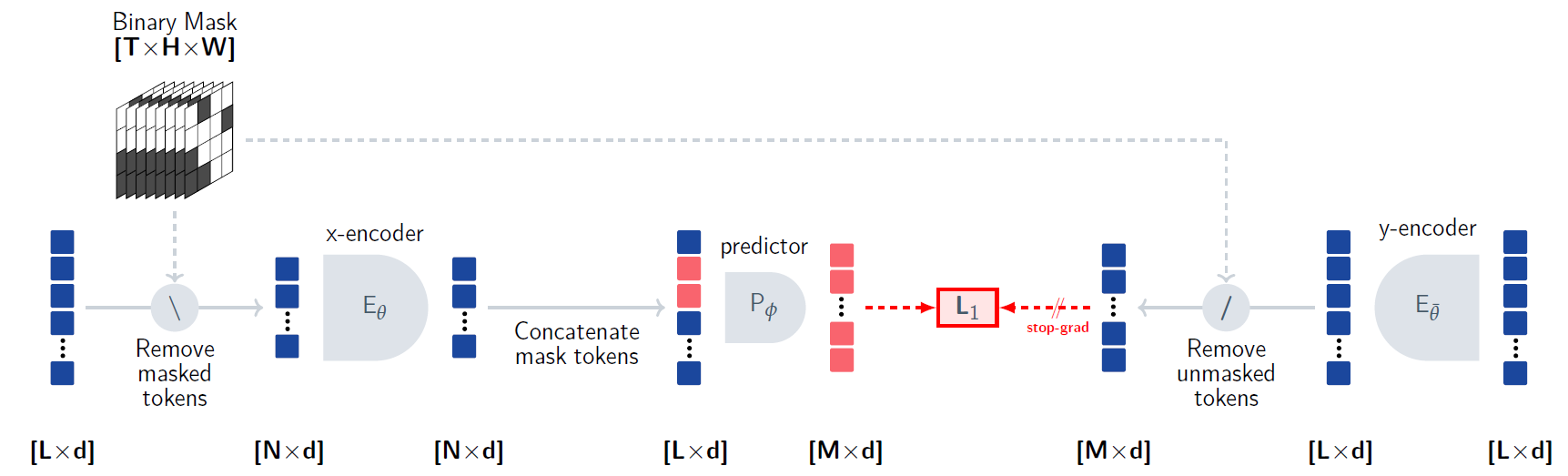 V-JEPA Training Process