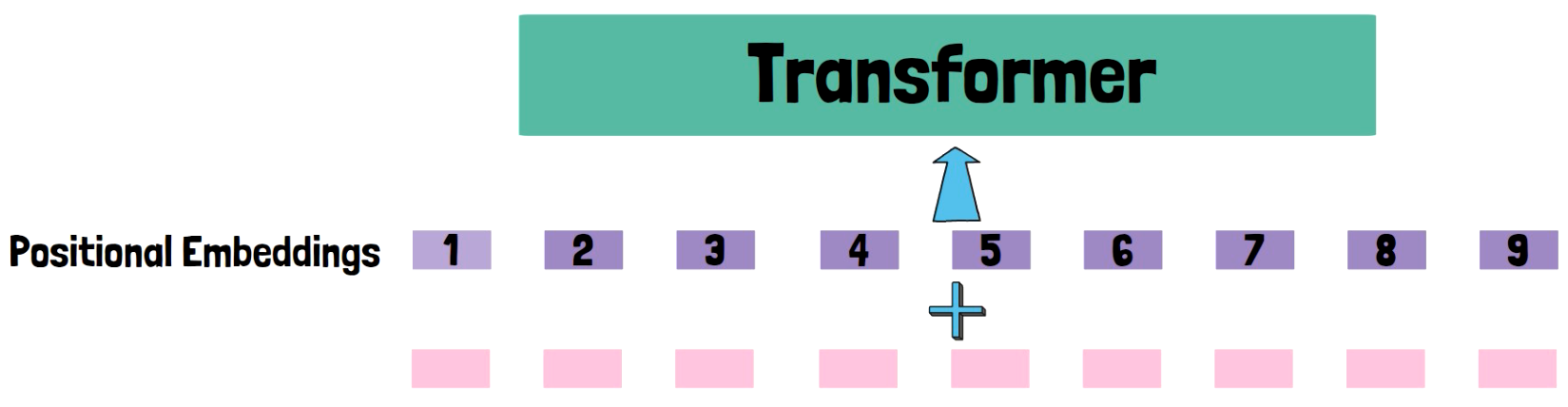 Positional embeddings are added to the transformer input
