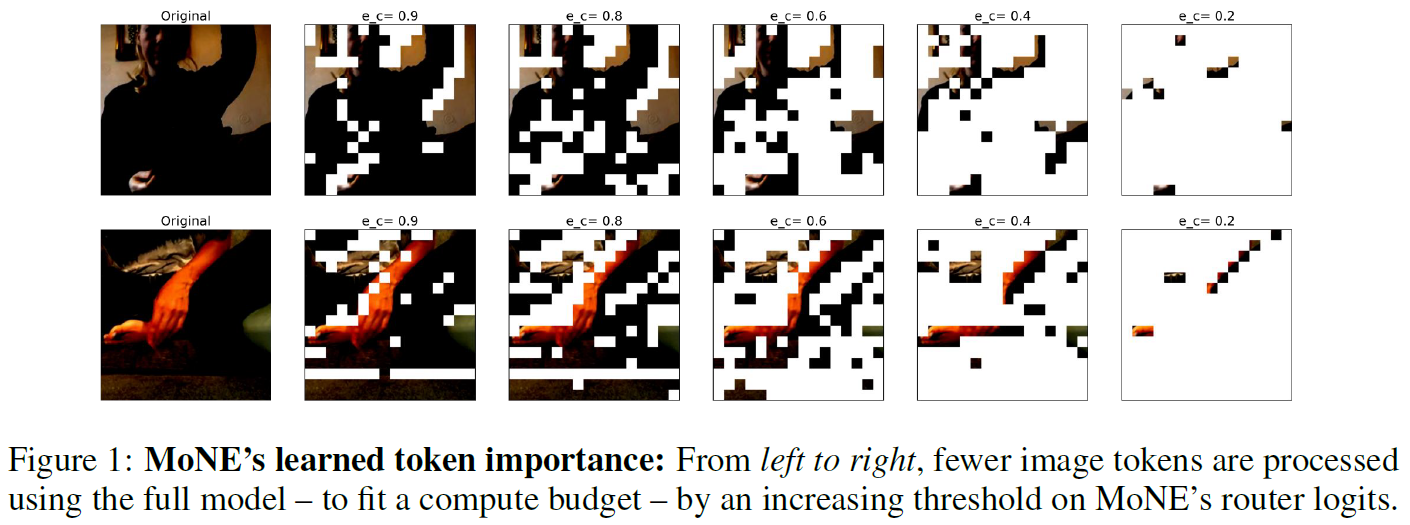 Example for learning token importance by a Mixture of Nested Experts model