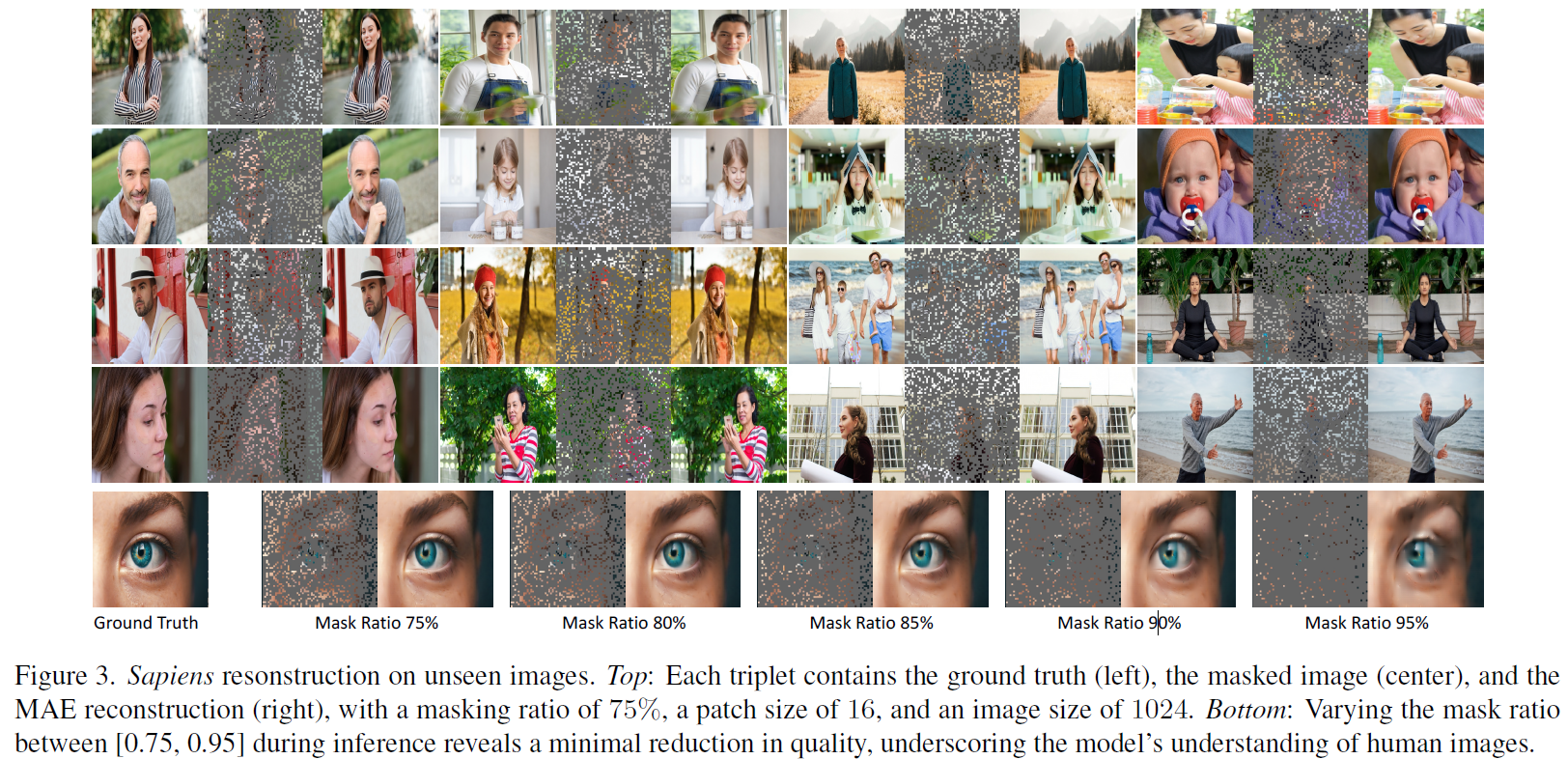 Examples for the reconstruction quality after Sapiens pretraining