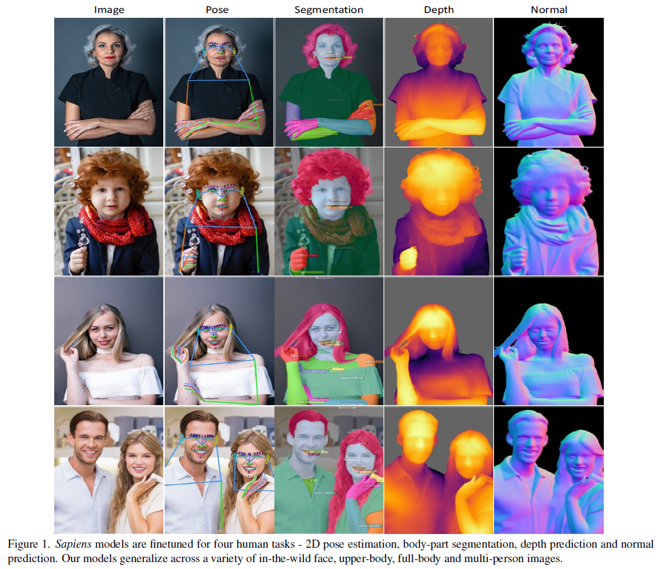 Examples for Sapiens models results