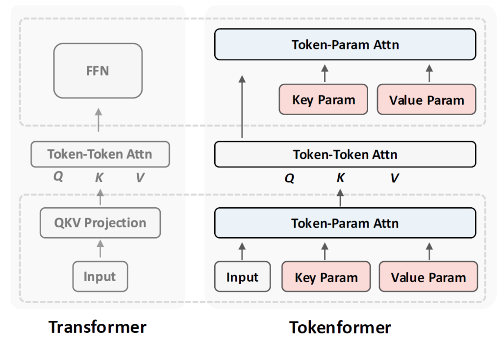 Tokenformer vs Transformer architecture