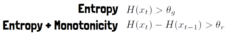 Entropy and Entropy + Monotonicity patching strategies definitions